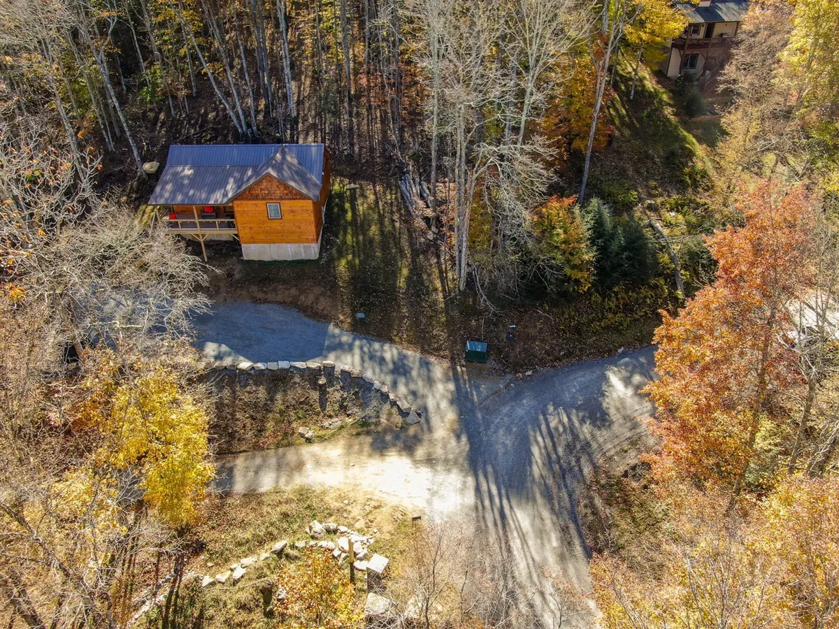 This image captures the exterior of the wooden cabin surrounded by lush trees and gravel paths, evoking a sense of immersion in nature and tranquility. The setting hints at opportunities for outdoor exploration and embraces the eco-friendly, nature-oriented experience described in the section.